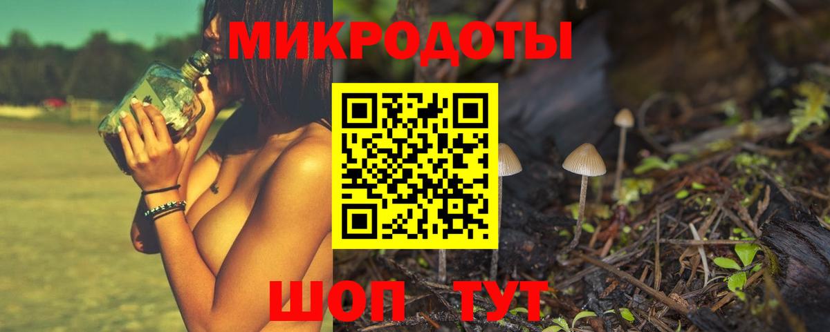 Псилоцибиновые грибы Psilocybe Гай